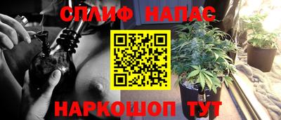 СК Жуковский