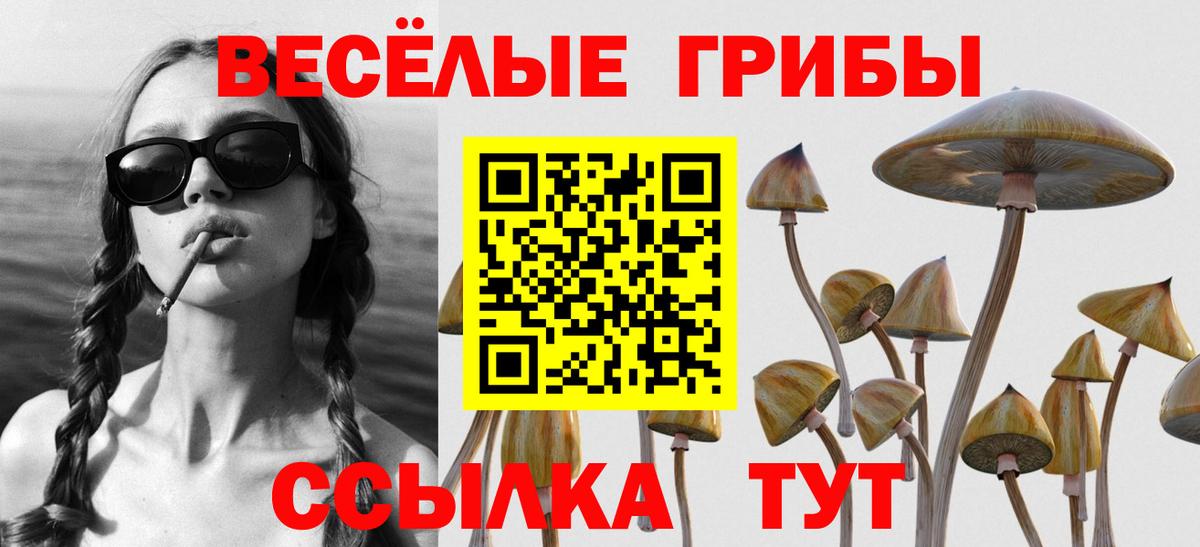 Галлюциногенные грибы GOLDEN TEACHER Лабытнанги
