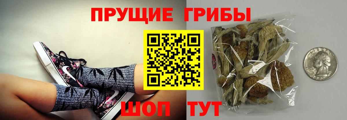 Псилоцибиновые грибы GOLDEN TEACHER  Галлюциногенные грибы Psilocybine cubensis  Лабытнанги  где найти   Вход с VPN 